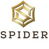 Spider Business Center Sara Roy